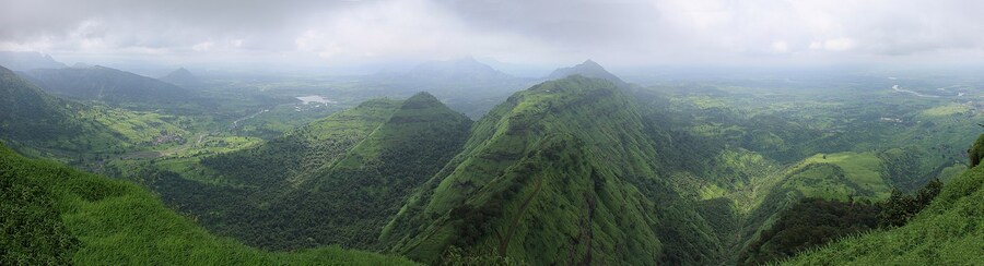 사실 북한지역의 민둥산 회복은 남한입장에선 매우 손쉬운 이유_3.jpg