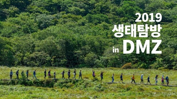 사실 북한지역의 민둥산 회복은 남한입장에선 매우 손쉬운 이유_4.jpg