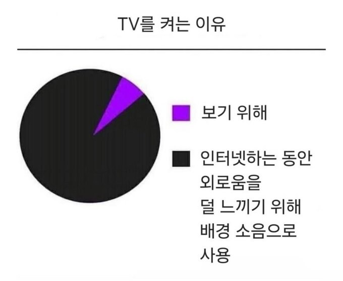 TV를 켜는 이유.jpg_1.jpg