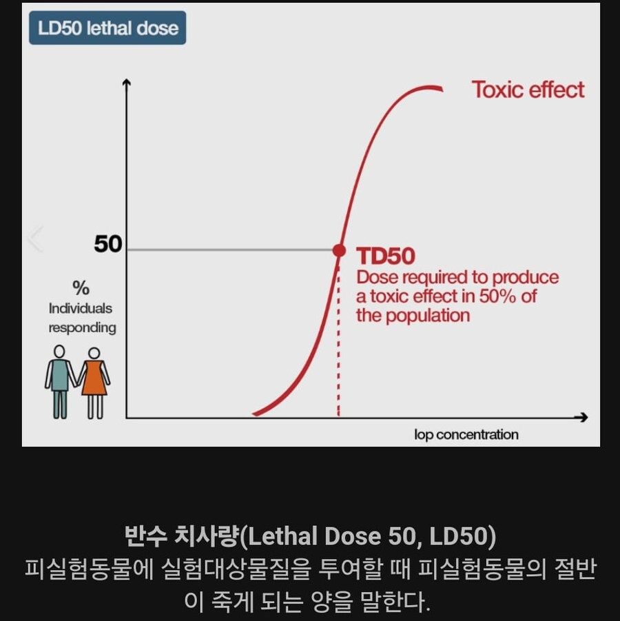 50%의 확률로 죽을 수 있는 음식의 양.jpg_1.jpg