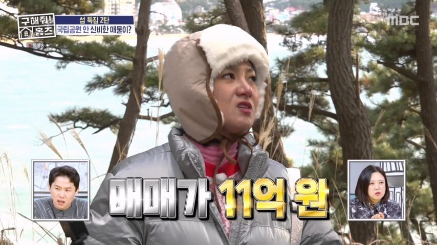 집팔이 프로에서 나온 레전드 매물_8.jpg