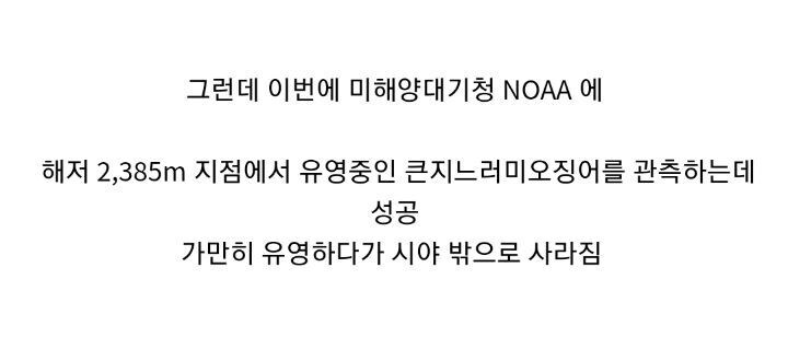 관측 횟수가 10건이 채 안된다는 심해 오징어.jpgif_4.jpg