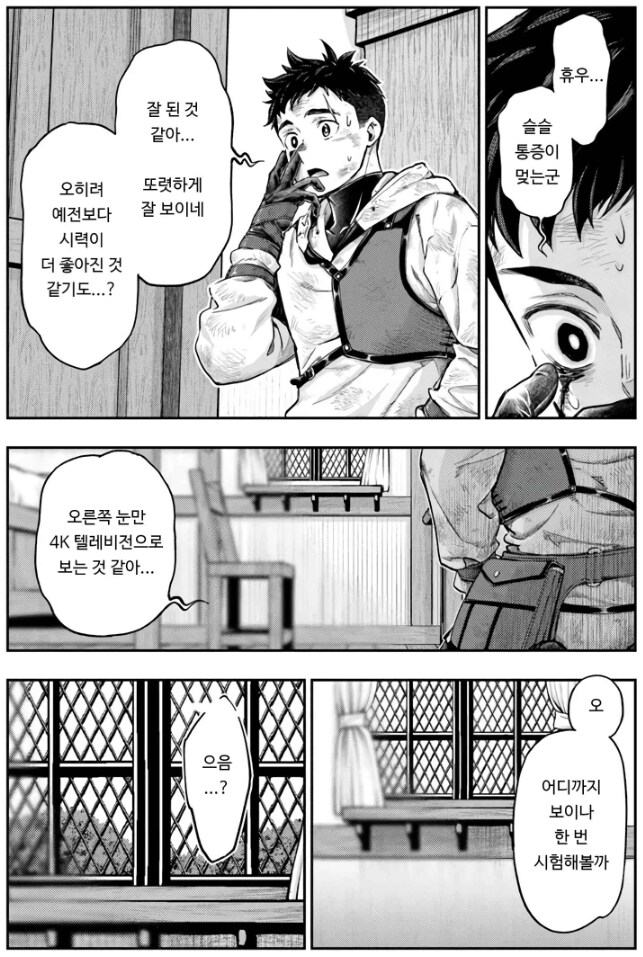 업그레이드 된 눈으로 처음 본 개 쩌는 장면 manhwa_1.png