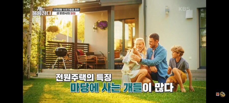 전원주택에서 개를 키우는 것에 충고하는 강형욱._4.jpg