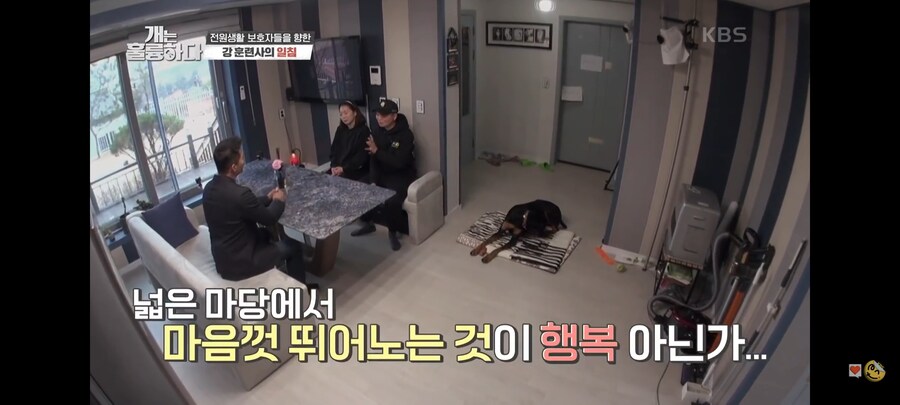 전원주택에서 개를 키우는 것에 충고하는 강형욱._21.jpg