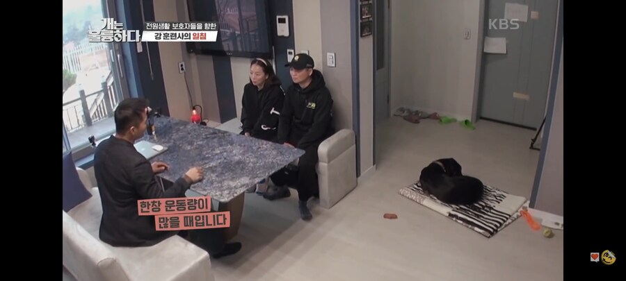 전원주택에서 개를 키우는 것에 충고하는 강형욱._28.jpg