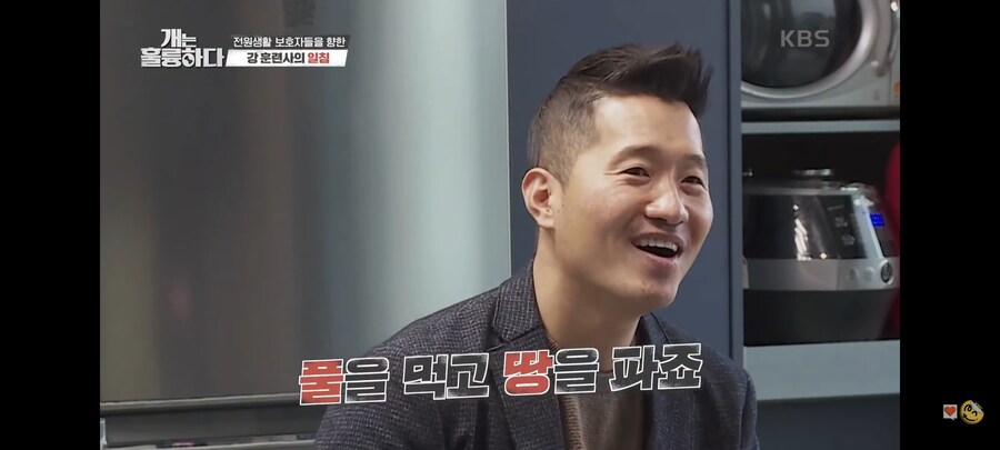 전원주택에서 개를 키우는 것에 충고하는 강형욱._34.jpg