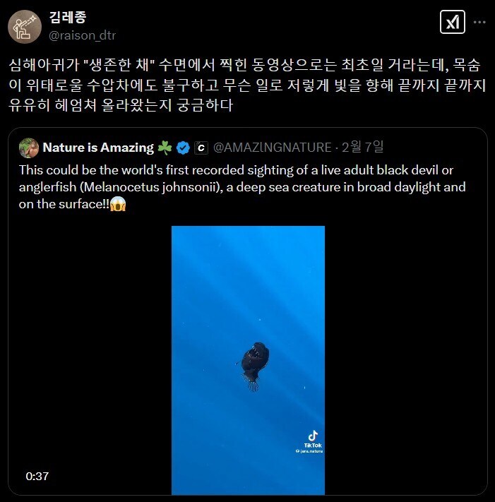 수면 위로 올라오는 심해아귀_1.jpg