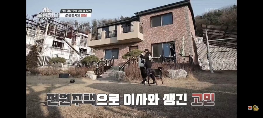 전원주택에서 개를 키우는 것에 충고하는 강형욱._23.jpg