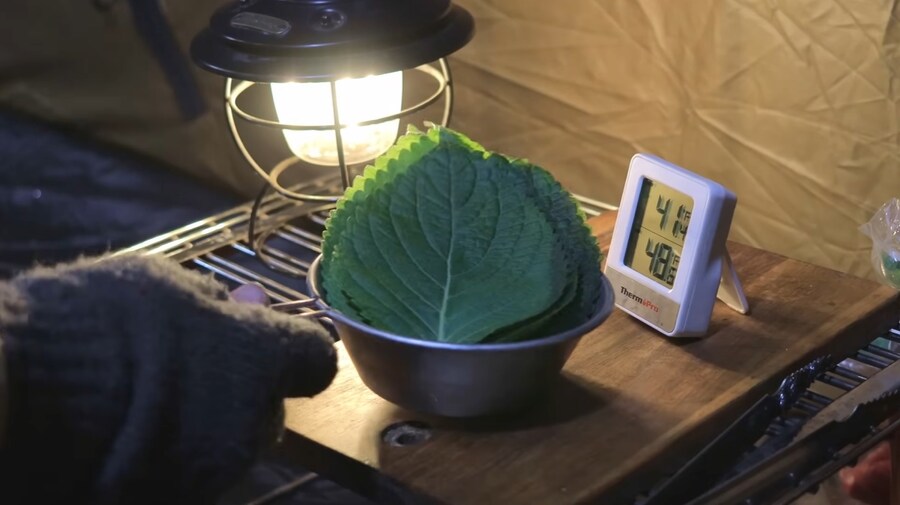 -5°C에 텐트에서 한국식 바베큐 하겠다는 외국인_11.jpg