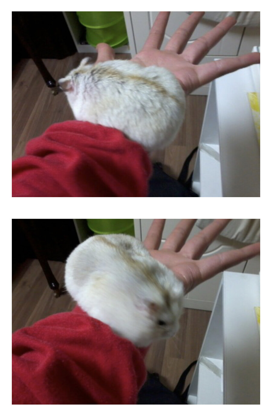 제 찌찌가 너무 커서 고민이에요_2.jpg