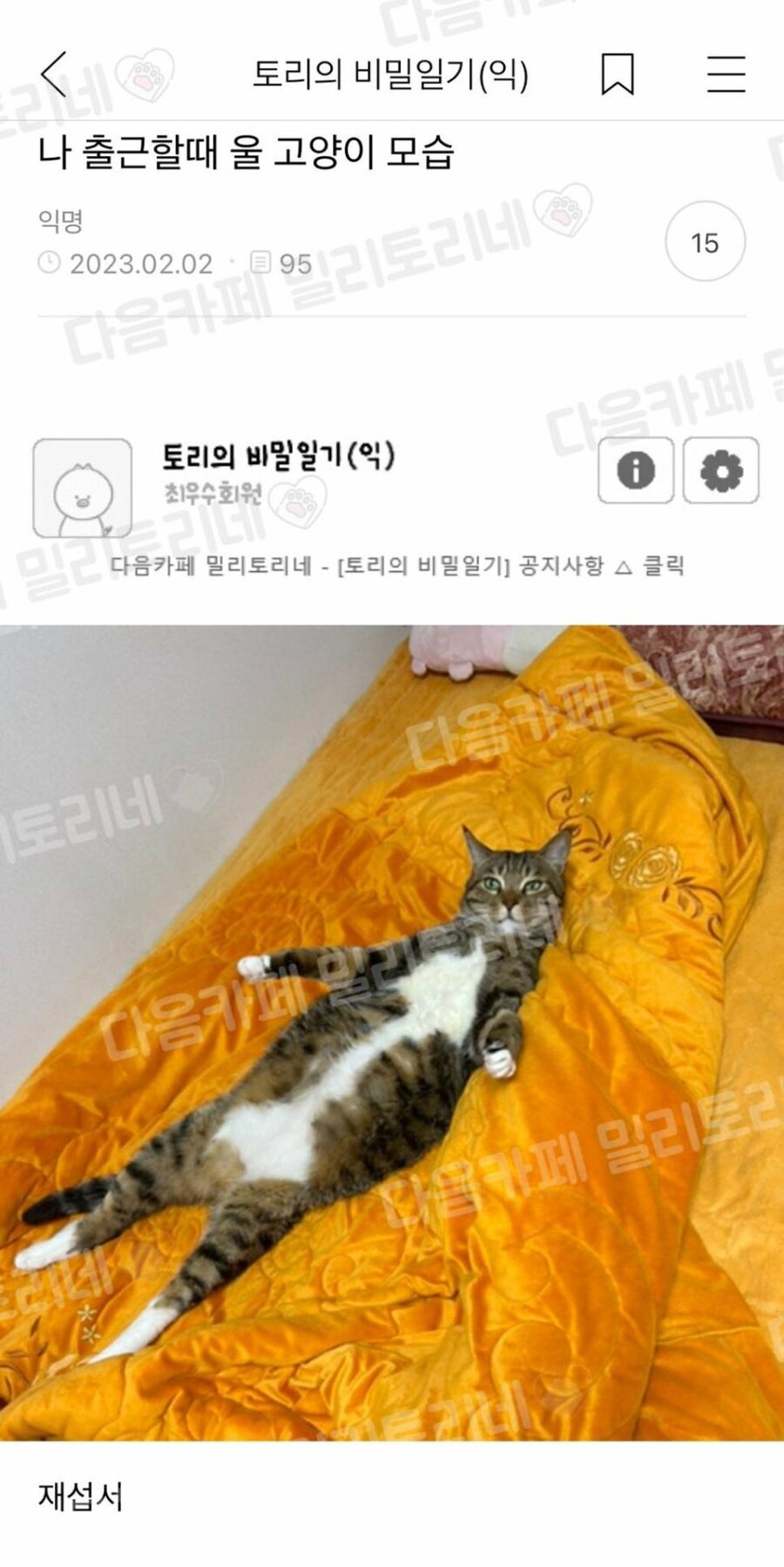 출근할때 고양이 모습_1.jpg