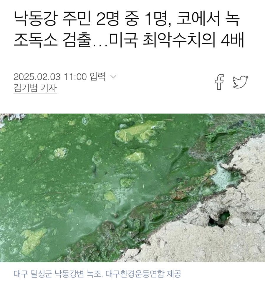 하천 녹조 현상 근황.jpg_1.jpg