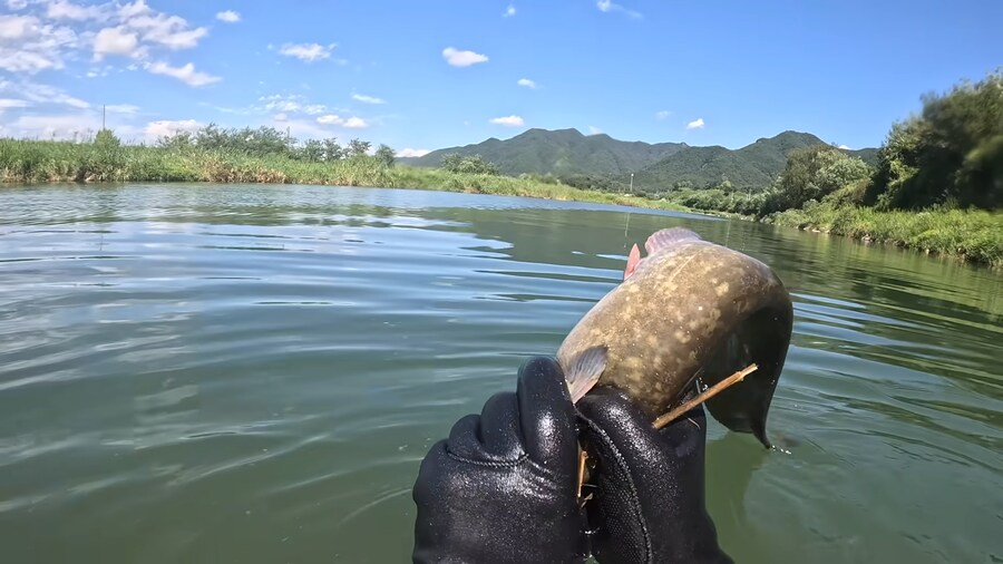 낚시하다 강에서 낚을수 있는 불발탄_5.png