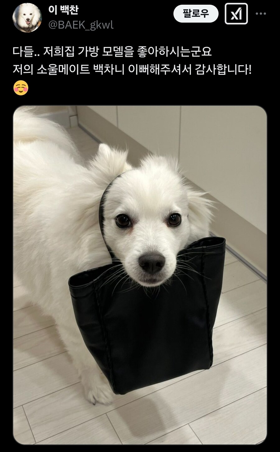 안입는 자켓으로 여친 가방 만들어준 남친_2.jpg