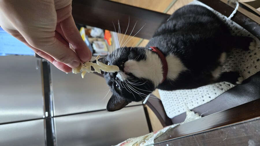 술 땡겨서 야옹이랑 게 쩌먹었어_6.jpg