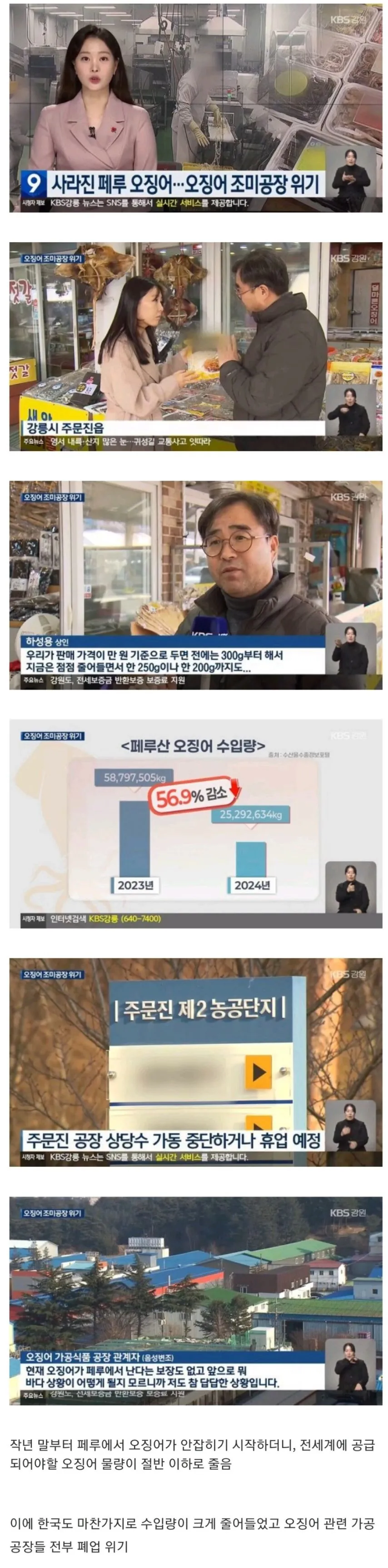 전세계 오징어 근황_1.webp