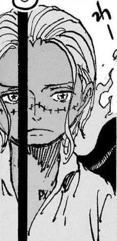 원피스 칠무해 TS(공식)_3.webp