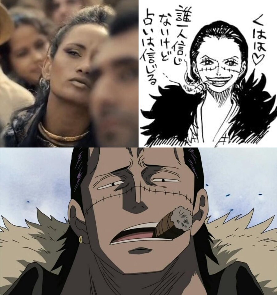 원피스 칠무해 TS(공식)_4.jpg