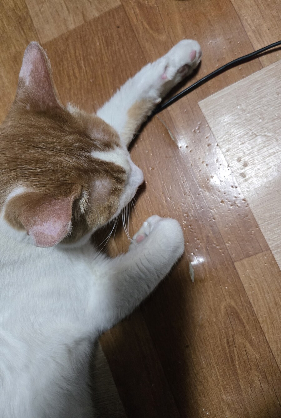 요즘 난로 계속 틀고 있거든_1.jpg