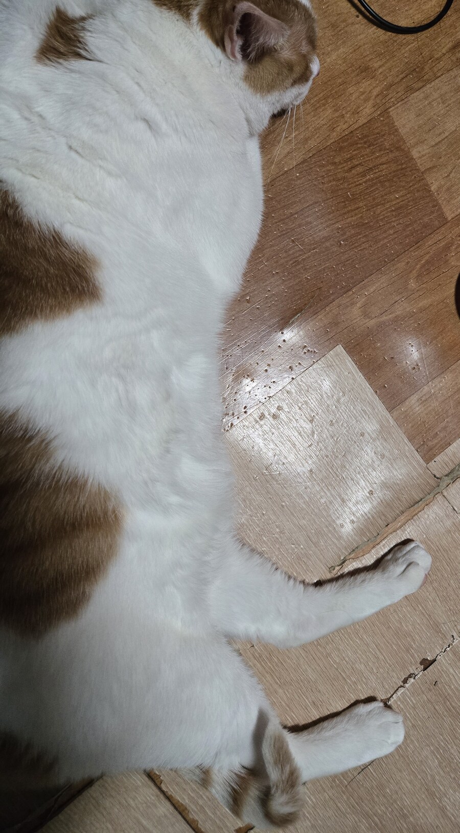 요즘 난로 계속 틀고 있거든_4.jpg