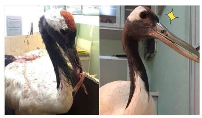 완전 개쩌는 복수물인데 후기가 안나온다..._1.jpg