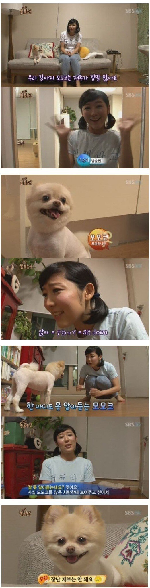 동물농장 허위제보.jpg_1.jpg