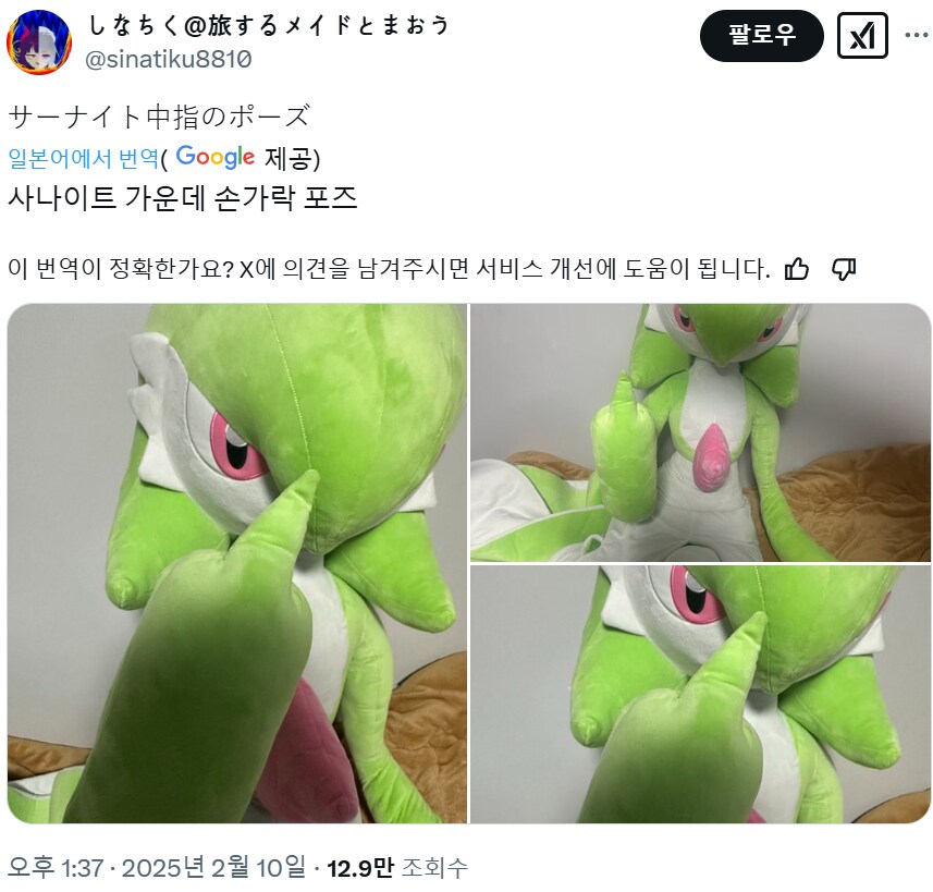 어제부터 트위터에 올라오는 160cm 가디안 인형 간증_13.png