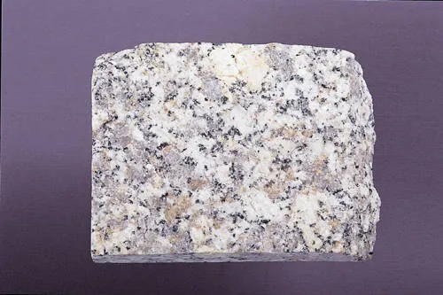 한국에서 장단점이 확실하게 존재하는 것류 甲_1.webp