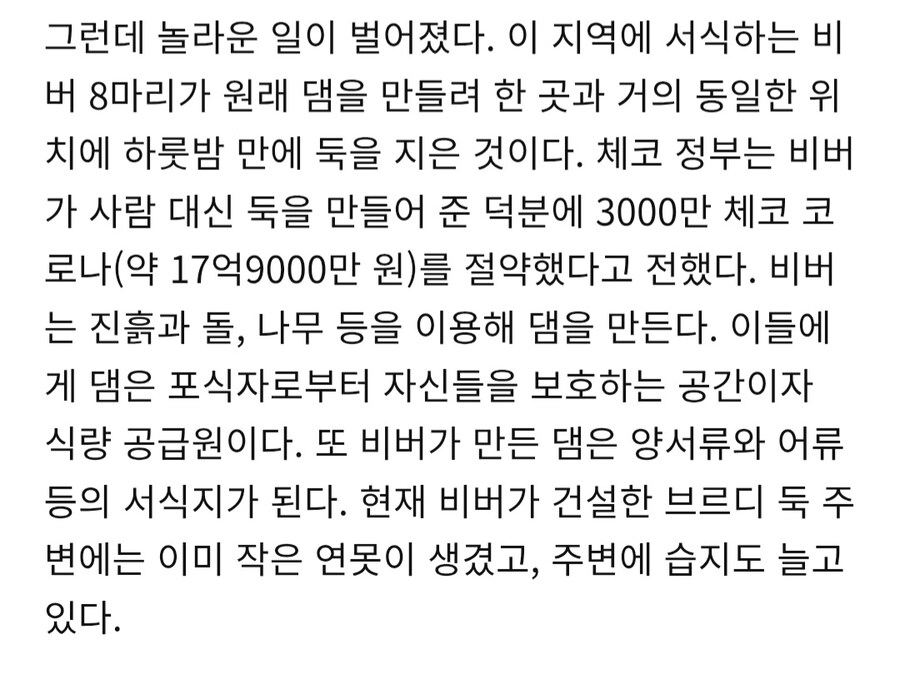 인간들이 못지은 댐 비버가 지어줘 18억 절약_2.jpg