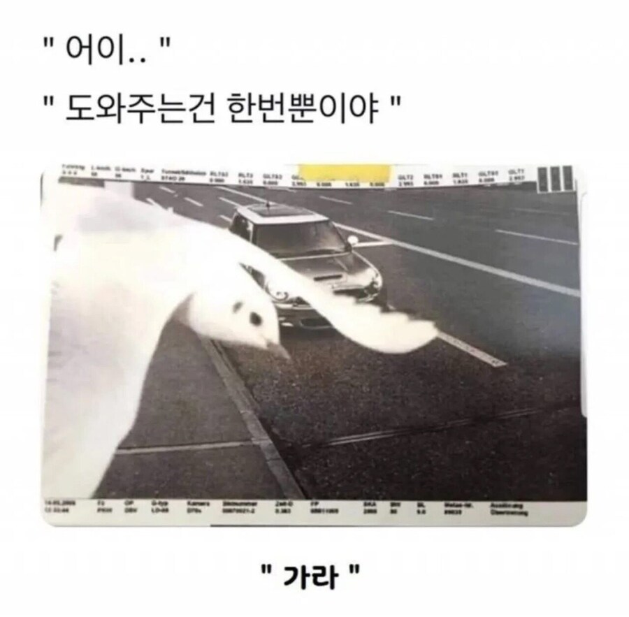 다시는 과속 안할거라고 약속해.jpg_1.jpg
