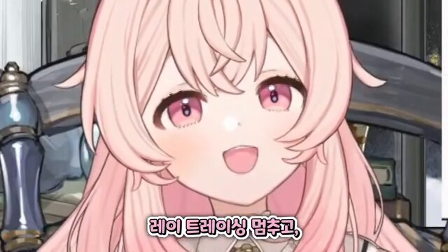 [버튜버] 엔비디아가 싫은 치킨피자_44.png