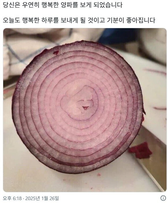 행복이 별게 아닌 이유_1.jpg
