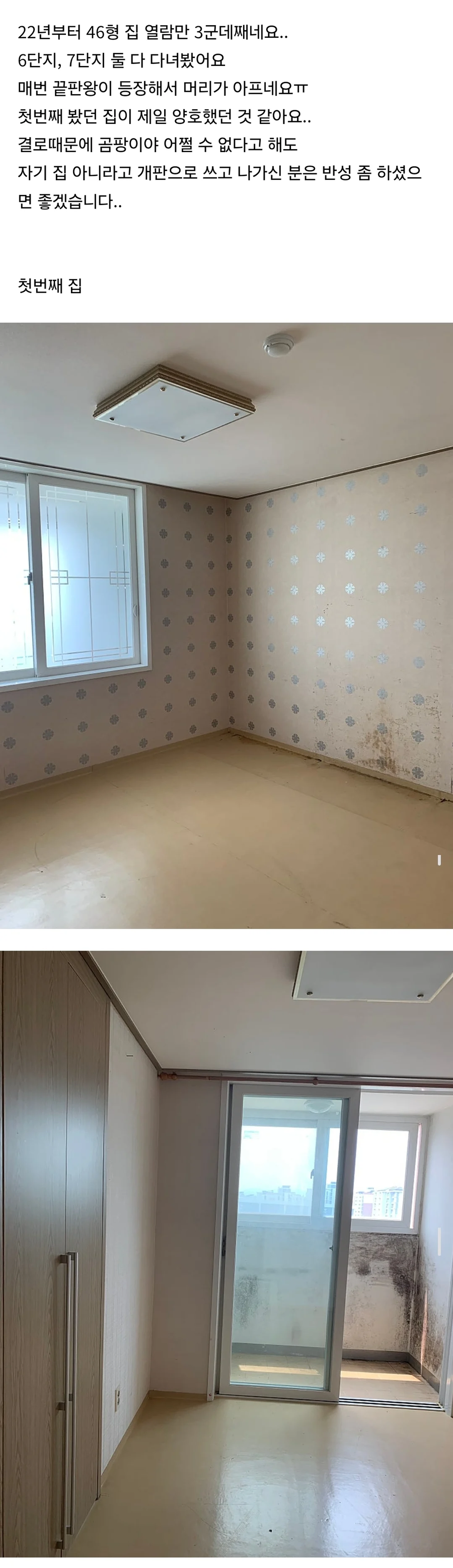 LH 임대주택을 세 번이나 돌아본 사람_1.webp