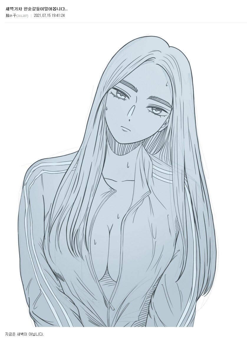 국내에서 꾸준히 거유팬아트를 공급해주던 IP_4.jpg