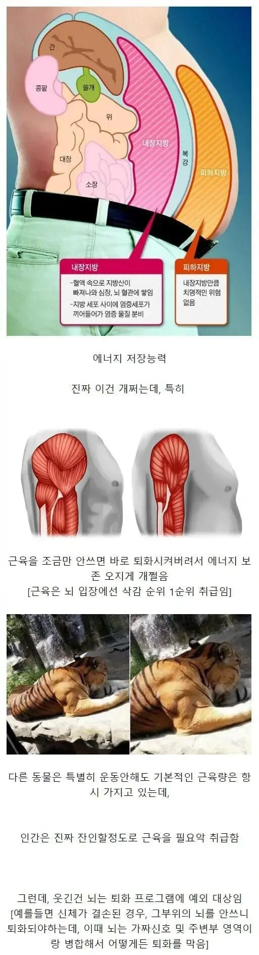 인류가 살아남은 S급 능력.jpg_1.jpg