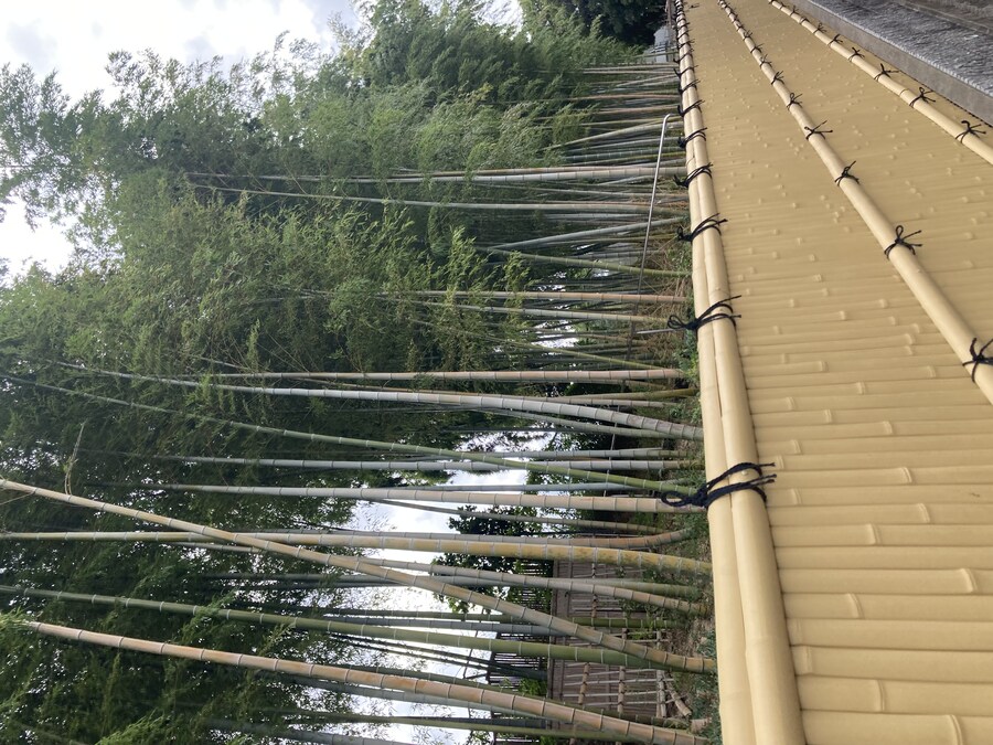 일본 교토 나가오카 쿄 산토리 맥주 공장 견학_10.jpg