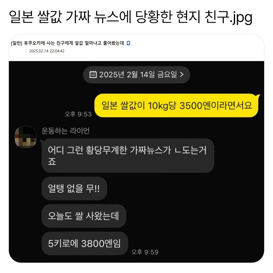 일본 쌀값 뉴스가 가짜라는 친구_1.jpg