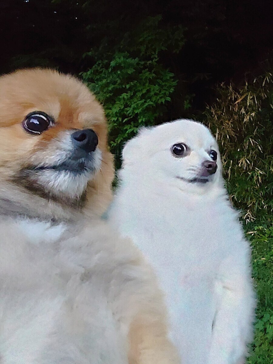 영웅이 호걸이 주식 손 대기 전 시절_1.jpg