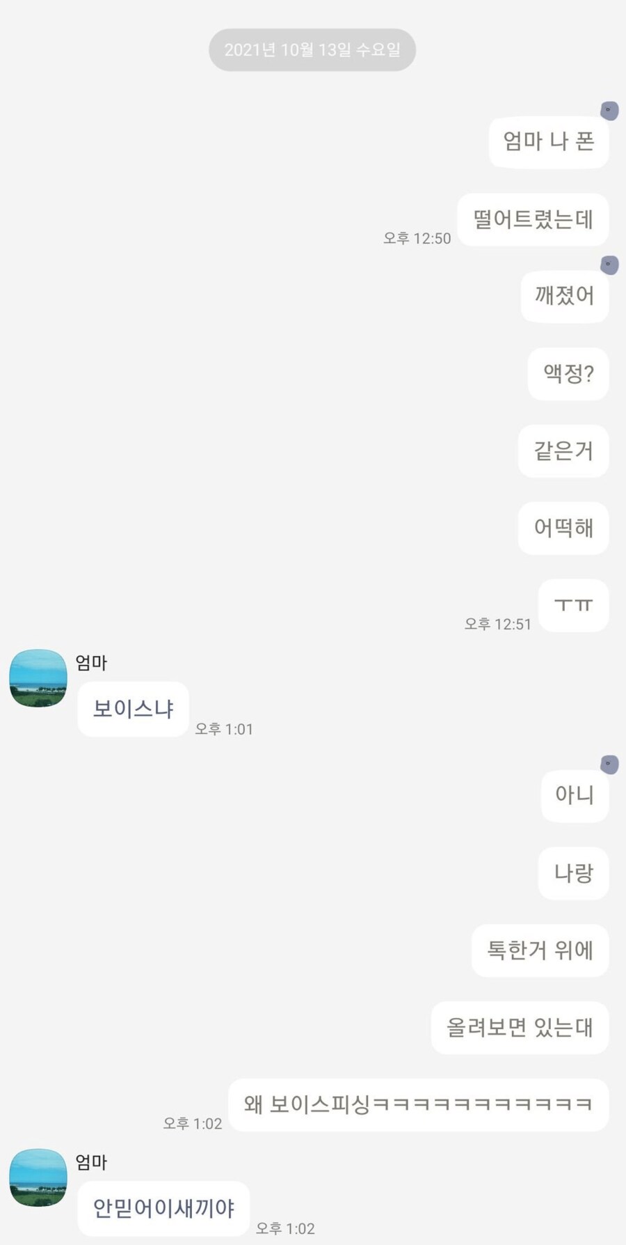 친아들을 보이스피싱범으로 오해한 어머니.jpg_2.png