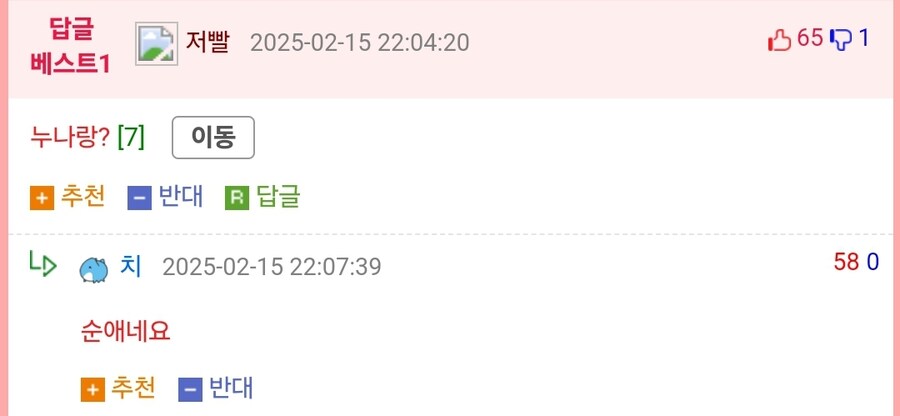 누나를 여친이라고 거짓말한 적 있음_2.jpg