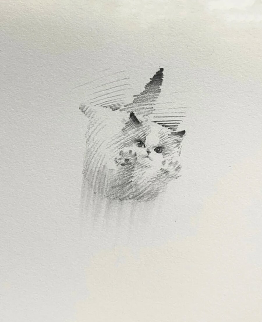 중국 화가의 고양이 그림_3.jpg