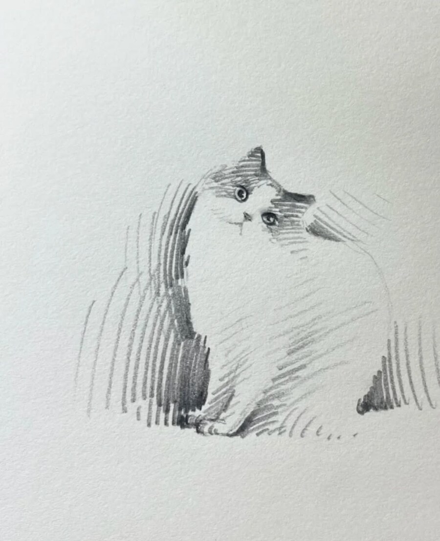 중국 화가의 고양이 그림_9.jpg