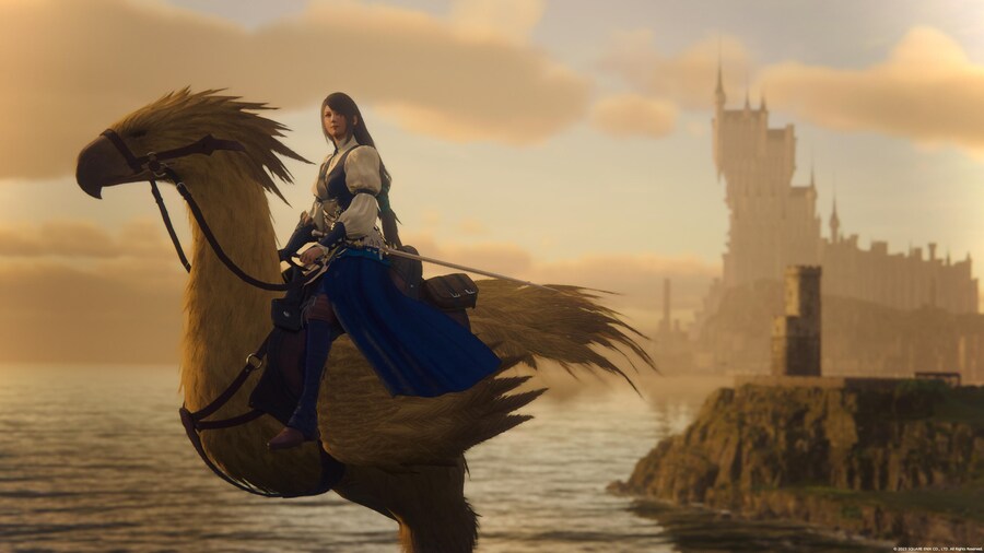 파판16 세계관의 초코보.jpg_3.jpg