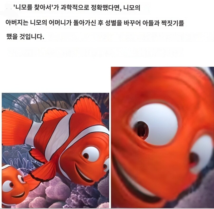 영화에서 고증을 꼭 지킬 필요는 없는 이유.jpg_1.jpg