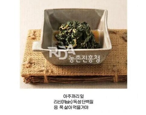 산나물 채취시 한국인을 믿어야하는 이유_2.jpg