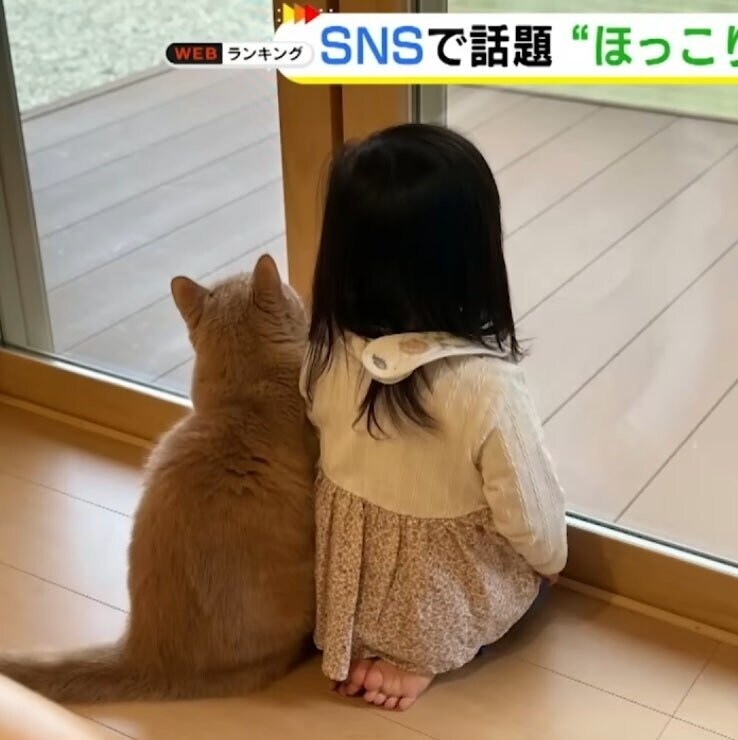 내 동생 친화력이 좋은건가 아니면 그냥 이상한건가_1.jpg