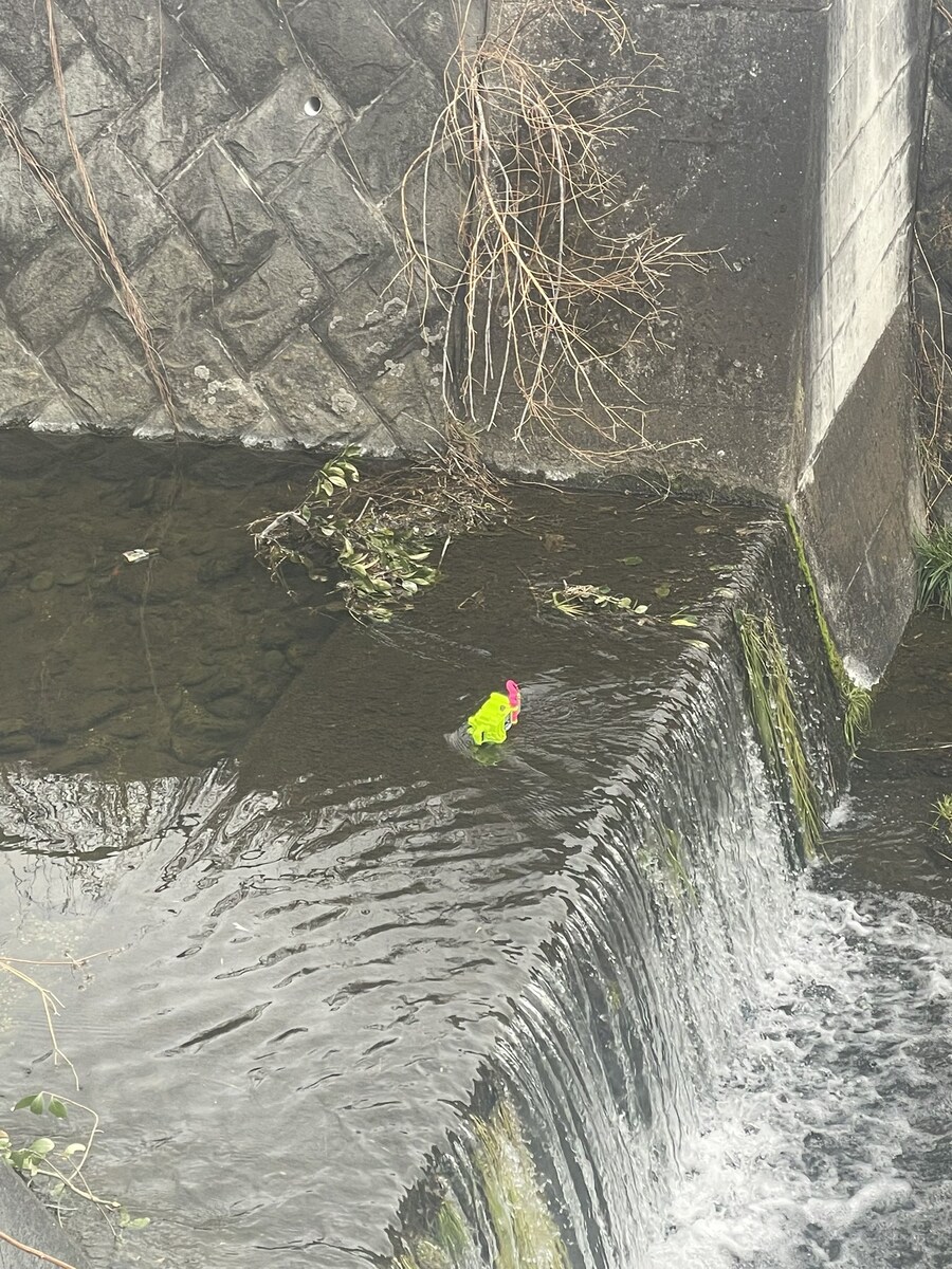 겨울철 강가에 가면.jpg_1.jpg