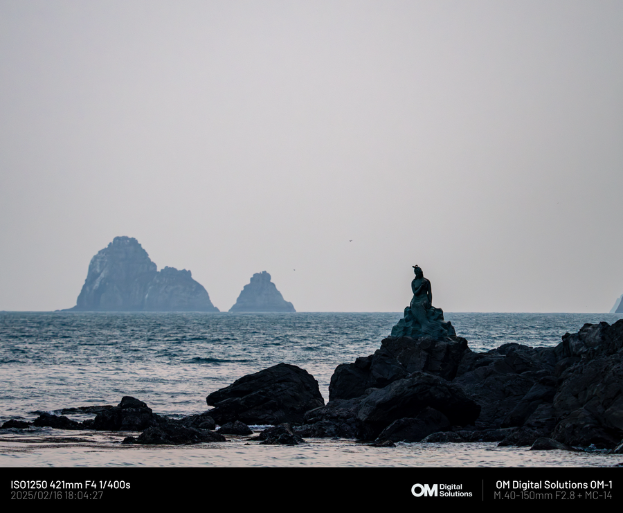 [사진] 5~60대 카톡 프사 모음집 나왔네ㅋㅋㅋ_1.webp