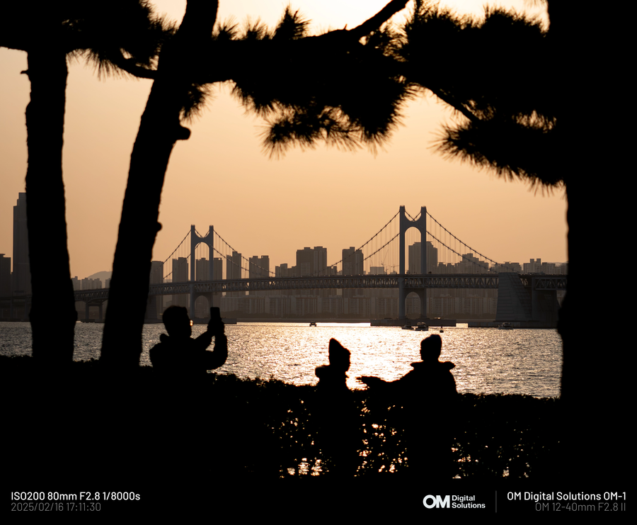 [사진] 5~60대 카톡 프사 모음집 나왔네ㅋㅋㅋ_5.webp